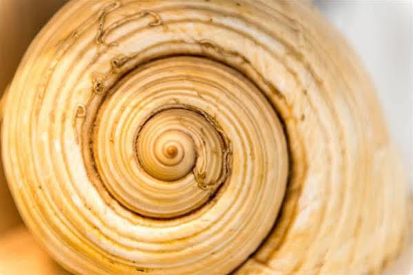 Apartman Neve Dubrownik Zewnętrze zdjęcie
